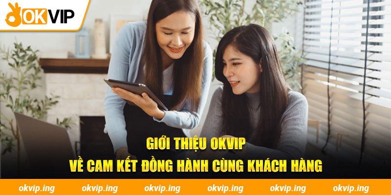 Giới thiệu OKVIP về cam kết đồng hành cùng khách hàng