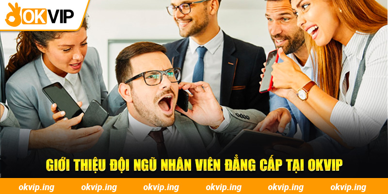 Giới thiệu đội ngũ nhân viên đẳng cấp tại OKVIP