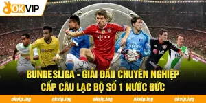 Bundesliga - Giải Đấu Chuyên Nghiệp Cấp Câu Lạc Bộ Số 1 Nước Đức