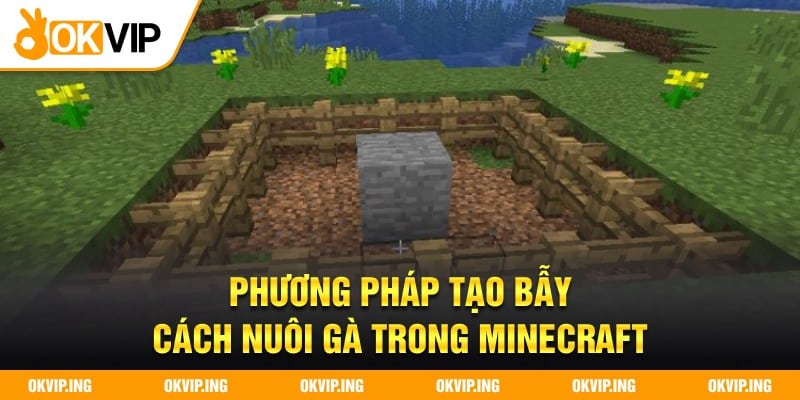 Phương pháp tạo bẫy - cách nuôi gà trong Minecraft